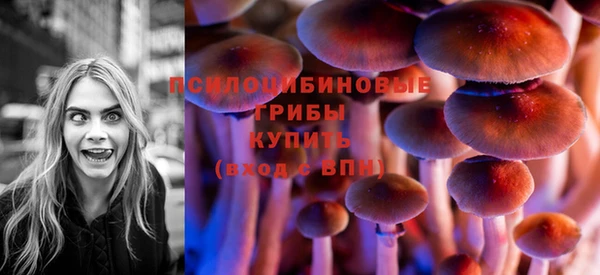 PSILOCYBIN Богородицк